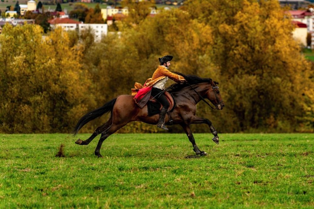 Na Hubertovu jízdu, Den dýní nebo do Malého světa. Vysočina je na podzim plná zajímavých akcí